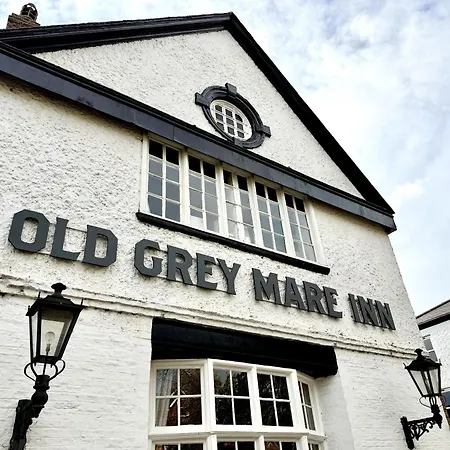 Old Grey Mare *